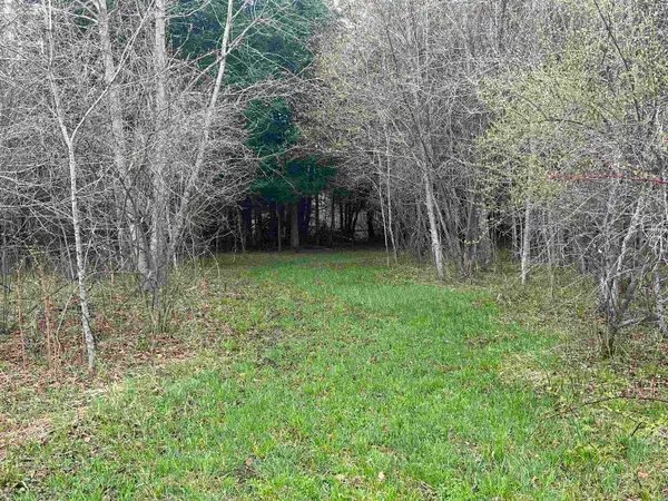 0 Wallen, Thompsonville, MI 49643
