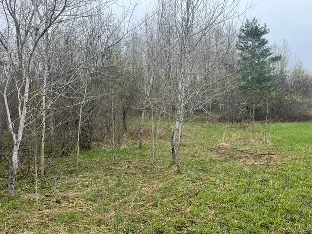 0 Wallen, Thompsonville, MI 49643 - #2