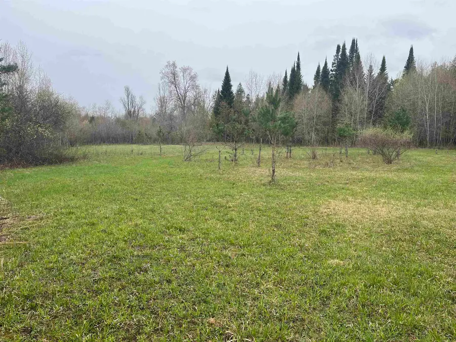 0 Wallen, Thompsonville, MI 49643 - #3