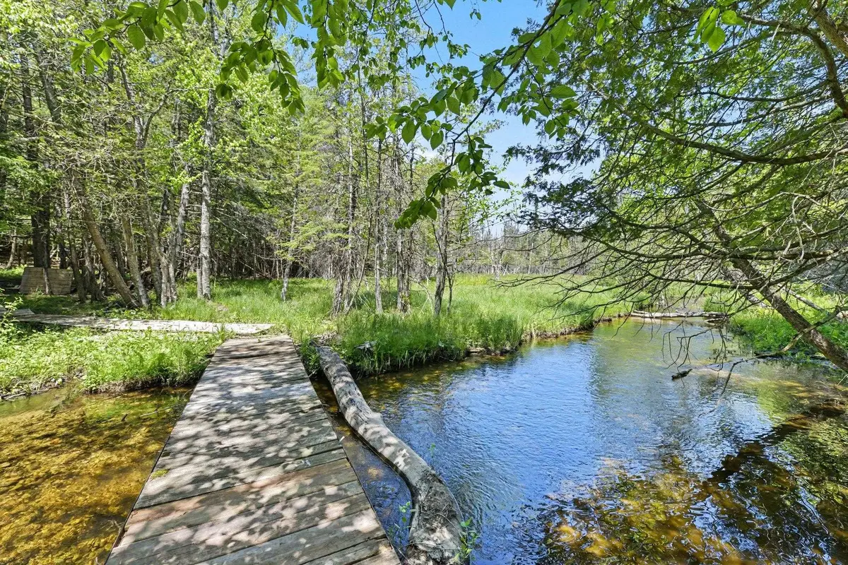 5218 Mitchell RD, Central Lake, MI 49622 - #1