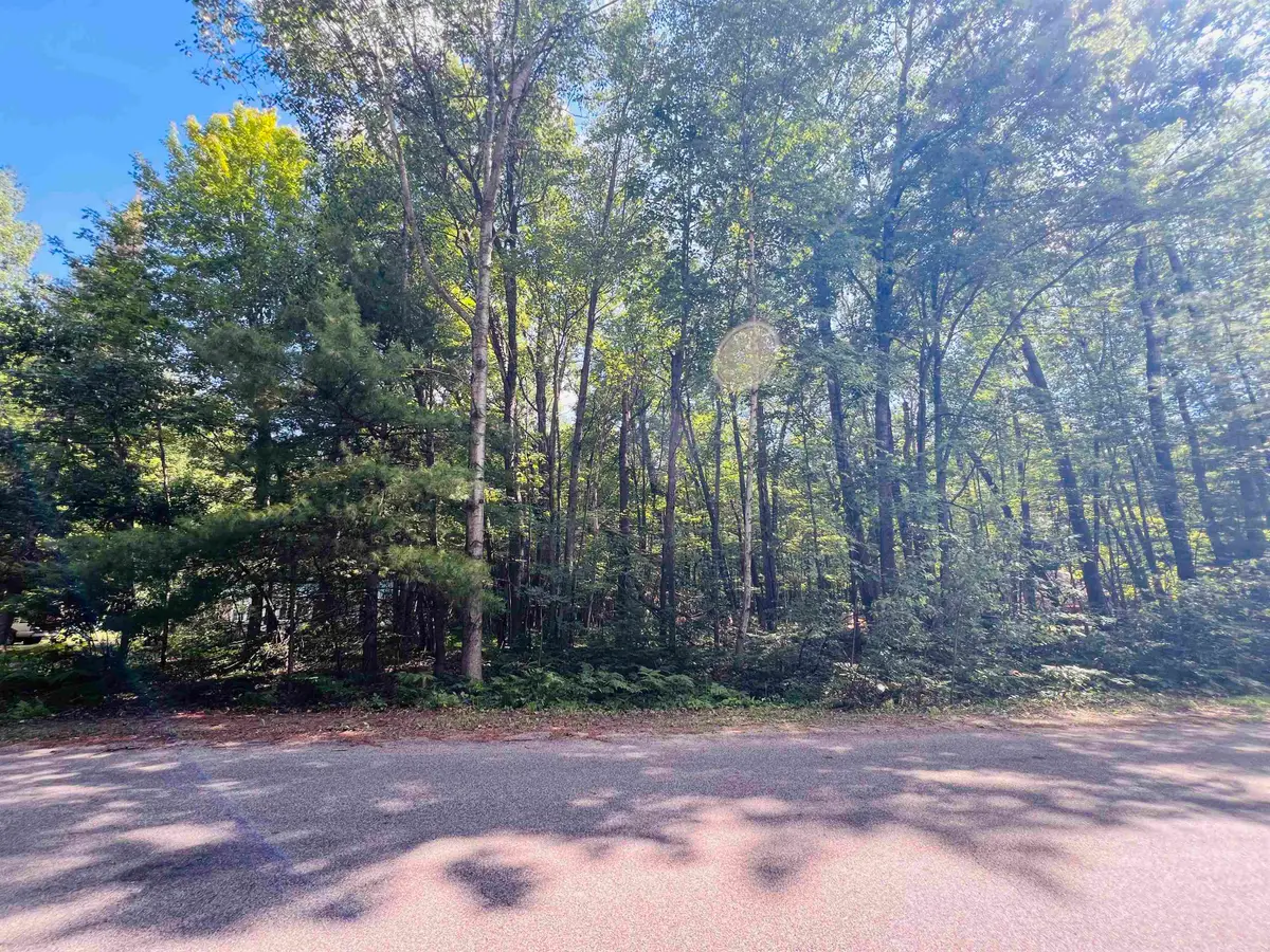 Lot 789 Redwine, Houghton Lake, MI 48653 - #1
