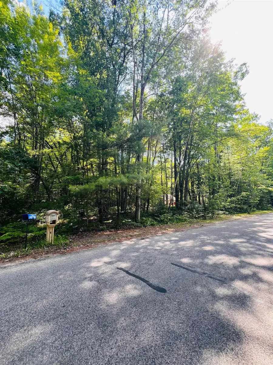 Lot 789 Redwine, Houghton Lake, MI 48653 - #2