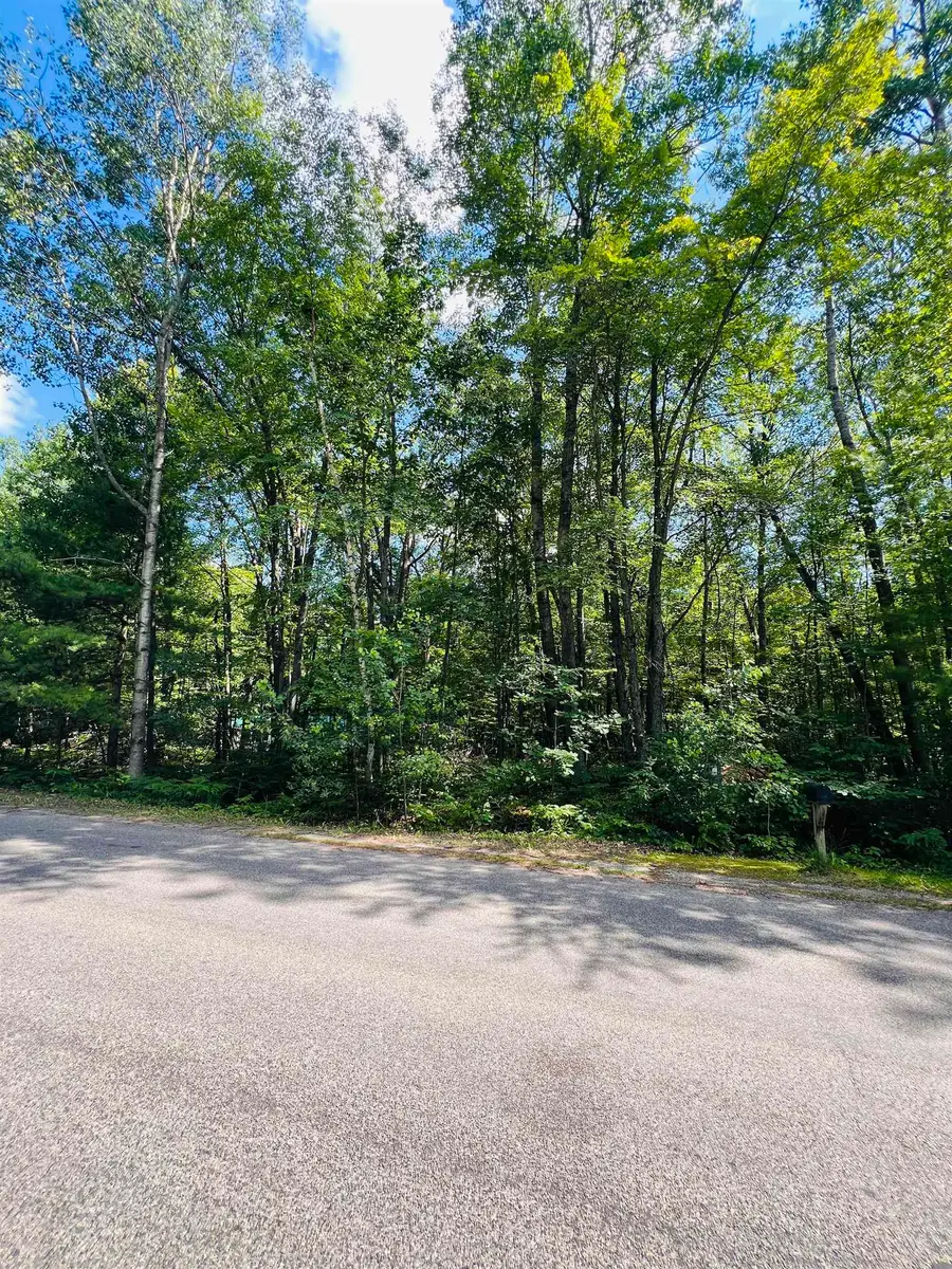 Lot 789 Redwine, Houghton Lake, MI 48653 - #3