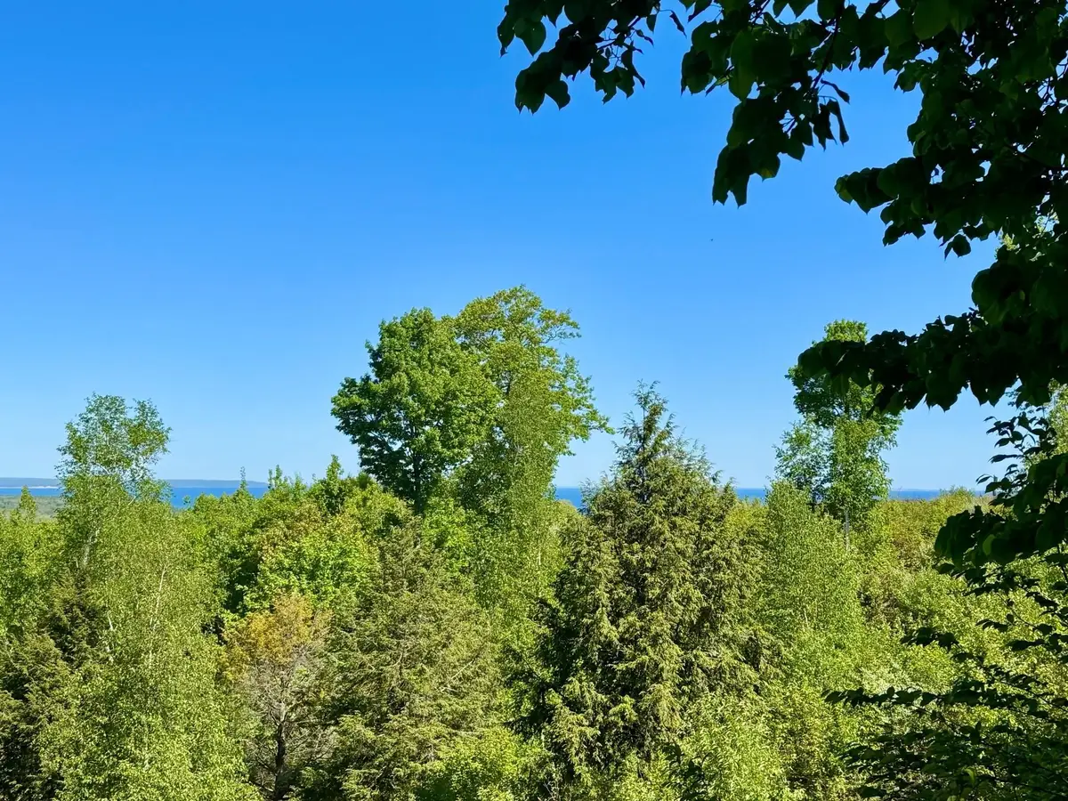 Lot 9 W Harbour, Glen Arbor, MI 49664 - #1