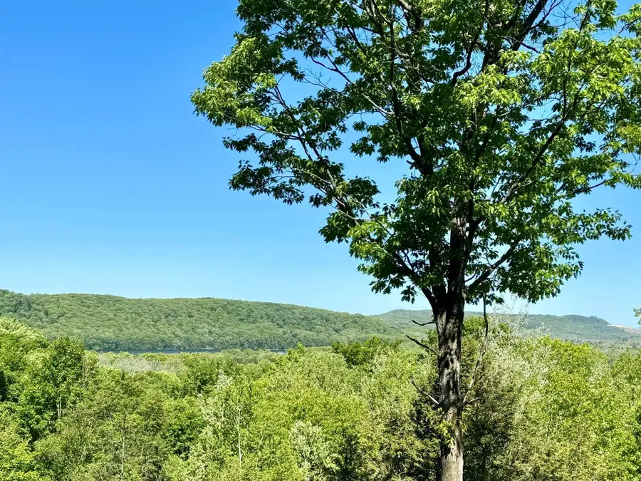 Lot 9 W Harbour, Glen Arbor, MI 49664 - #3