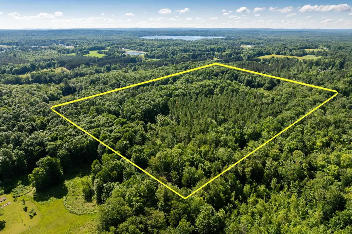 TBD Lake, Fife Lake, MI 49633 - #1