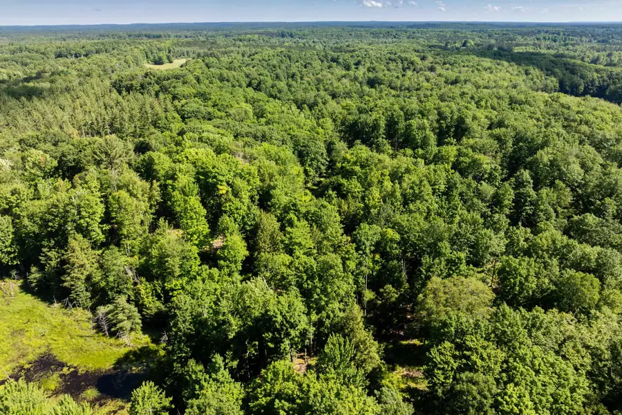 TBD Lake, Fife Lake, MI 49633 - #3