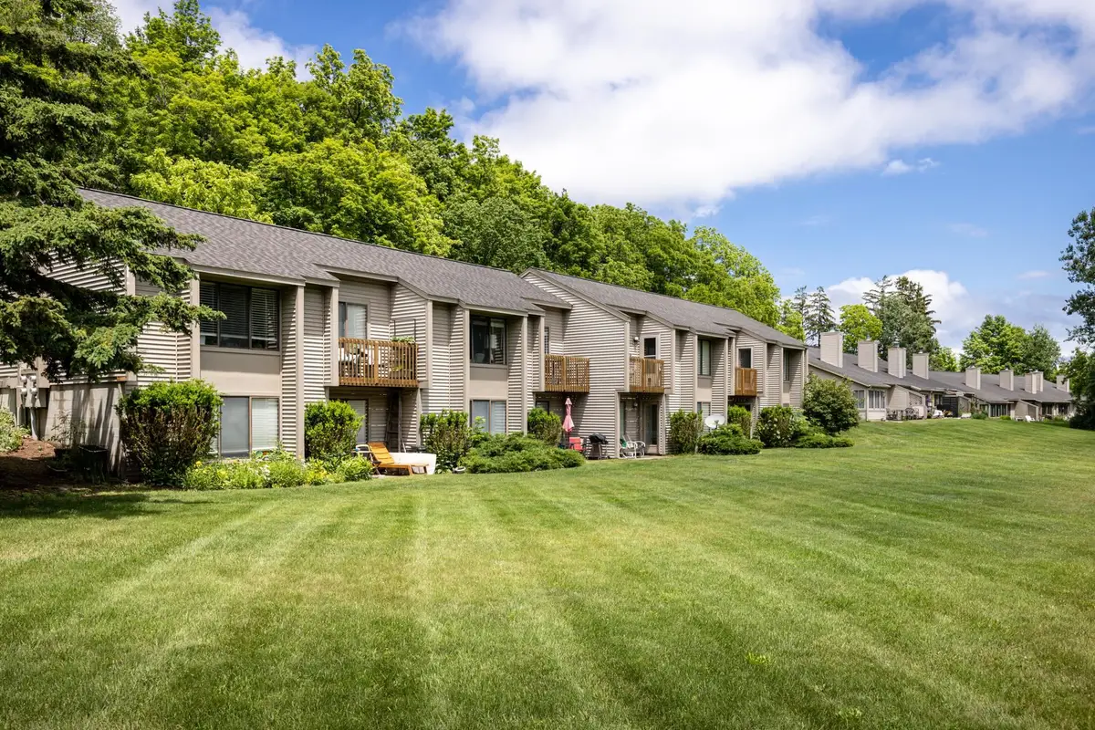 11255 E Fort, Bingham, MI 49682 - #1
