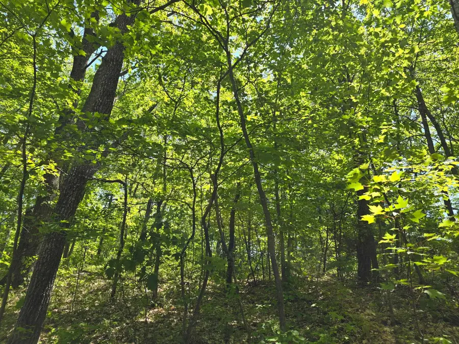 00 E Long Lake, Cadillac, MI 49601 - #2
