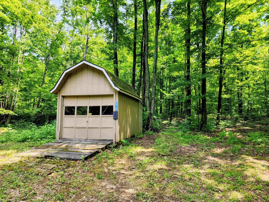 5929 Sky Trails, Mancelona, MI 49659 - #3