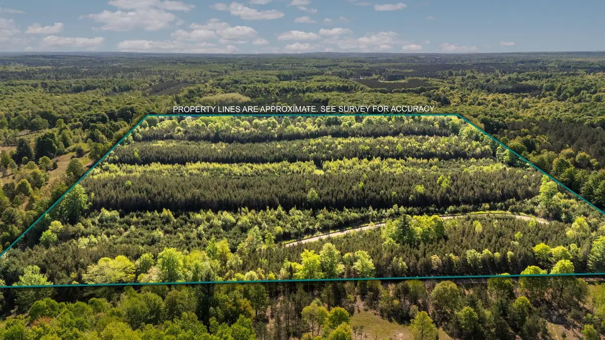 Lot C 5.28 AC Cedar Creek, Fife Lake, MI 49633 - #1
