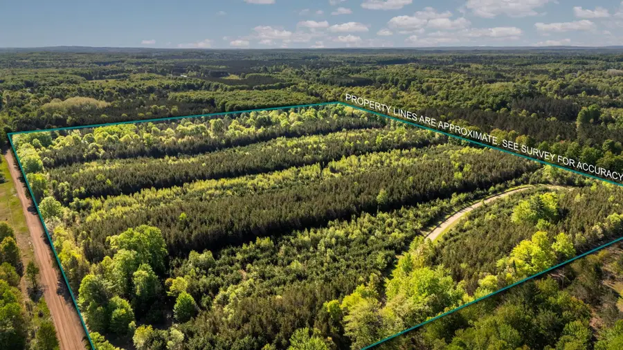 Lot C 5.28 AC Cedar Creek, Fife Lake, MI 49633 - #2