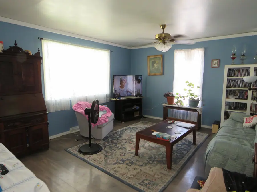 117 W Church, Tustin, MI 49688 - #2