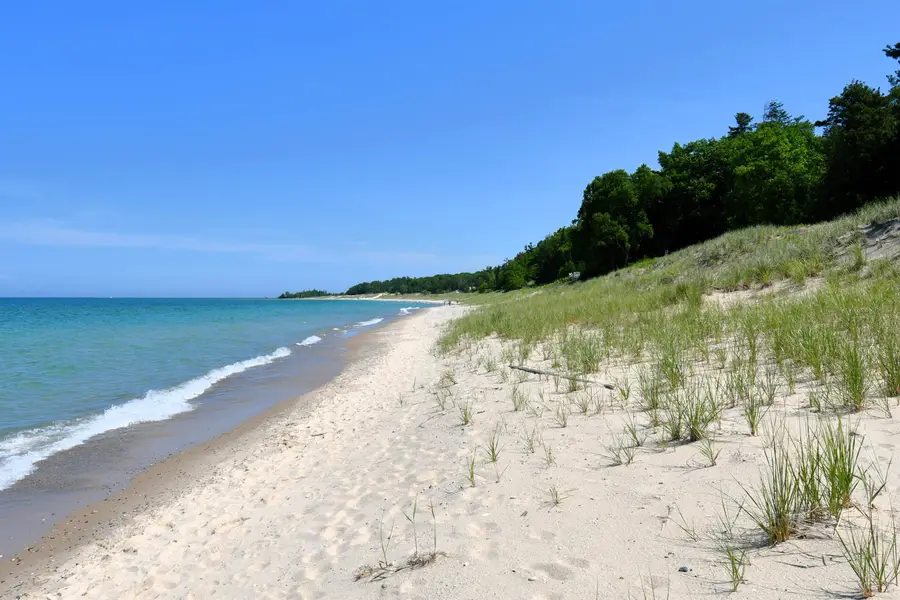 0000 Mt Mcsauba, Charlevoix, MI 49720 - #2