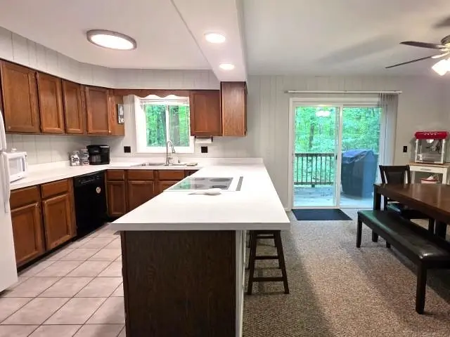 2574 Bahnhof LN, Bellaire, MI 49615 - #2