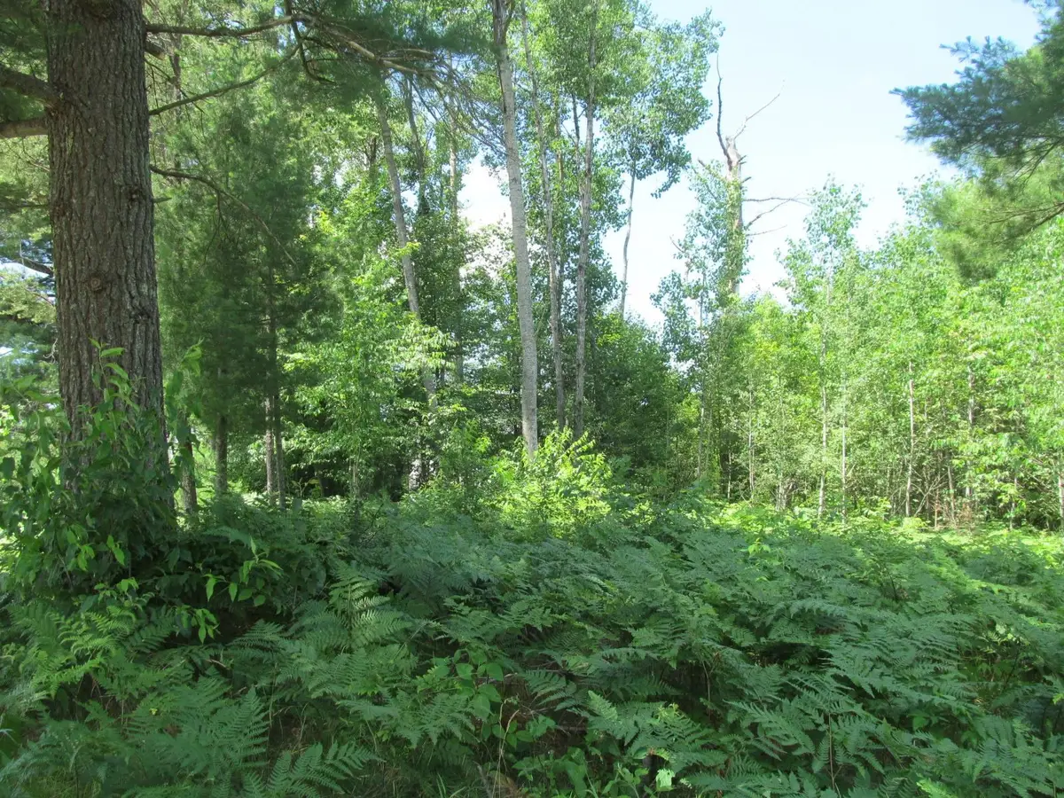 Lot 63 White Pine, Cadillac, MI 49601 - #1