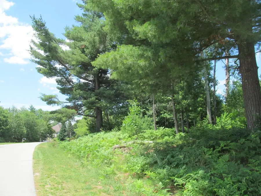 Lot 63 White Pine, Cadillac, MI 49601 - #2