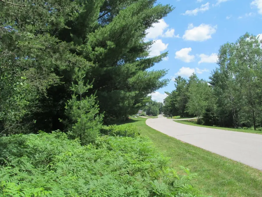 Lot 63 White Pine, Cadillac, MI 49601 - #3