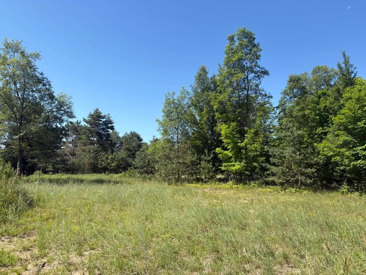 5551 N 9, Mesick, MI 49668 - #1