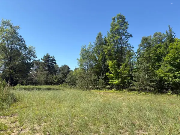 5551 N 9, Mesick, MI 49668