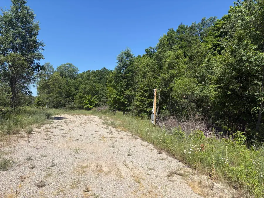 5551 N 9, Mesick, MI 49668 - #2
