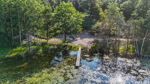 16963 Parcel C Gray Heirs, LakeAnn, MI 49650