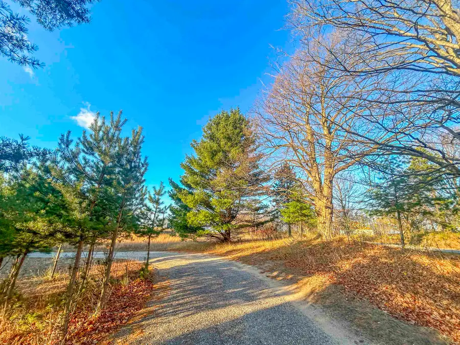 VL Baggs RD, Williamsburg, MI 49690 - #3