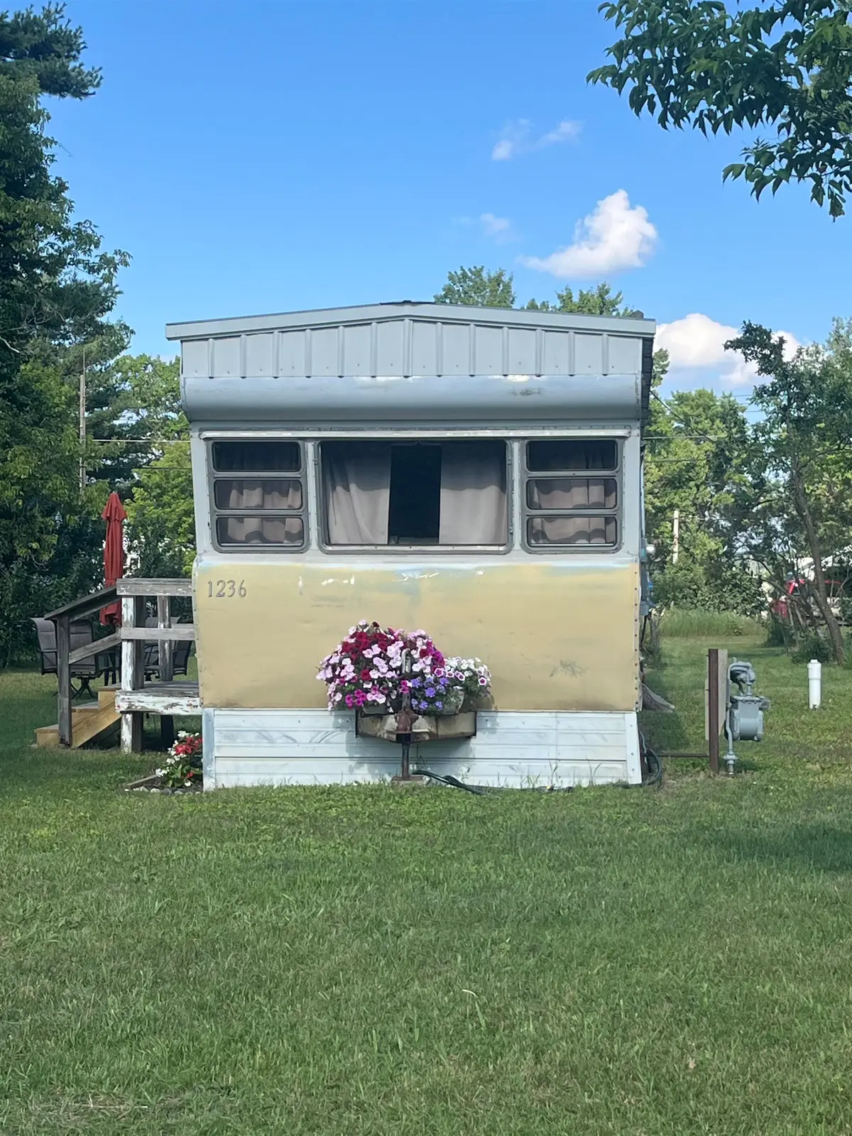 1236 Dandy, Cadillac, MI 49601 - #1