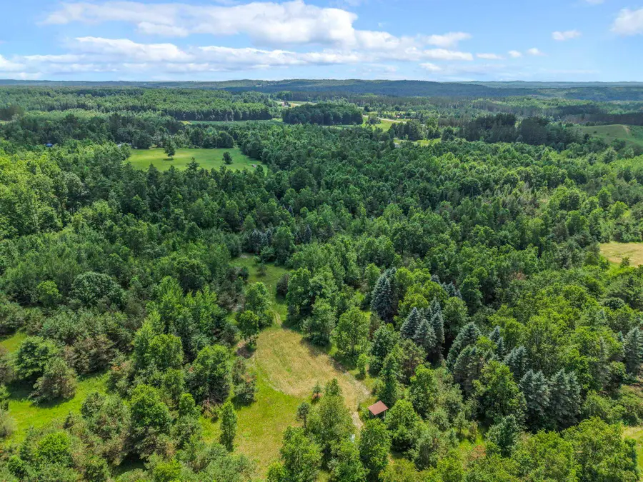 6320 N Morey RD, Pioneer, MI 49651 - #2