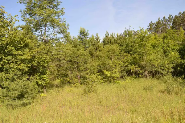 NE Holly RD, Kalkaska, MI 49646