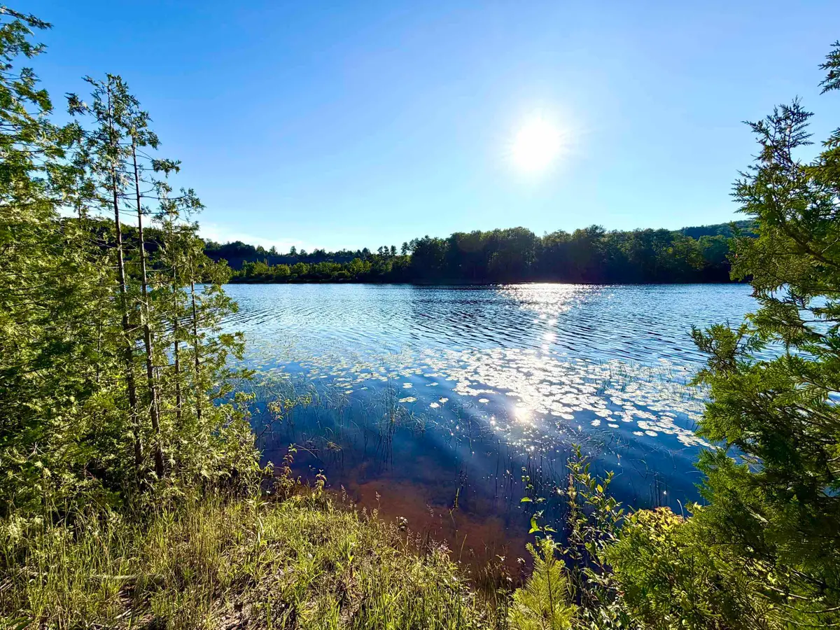 7932 Rushton, Ellsworth, MI 49729 - #1