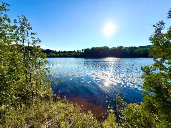 7932 Rushton, Ellsworth, MI 49729