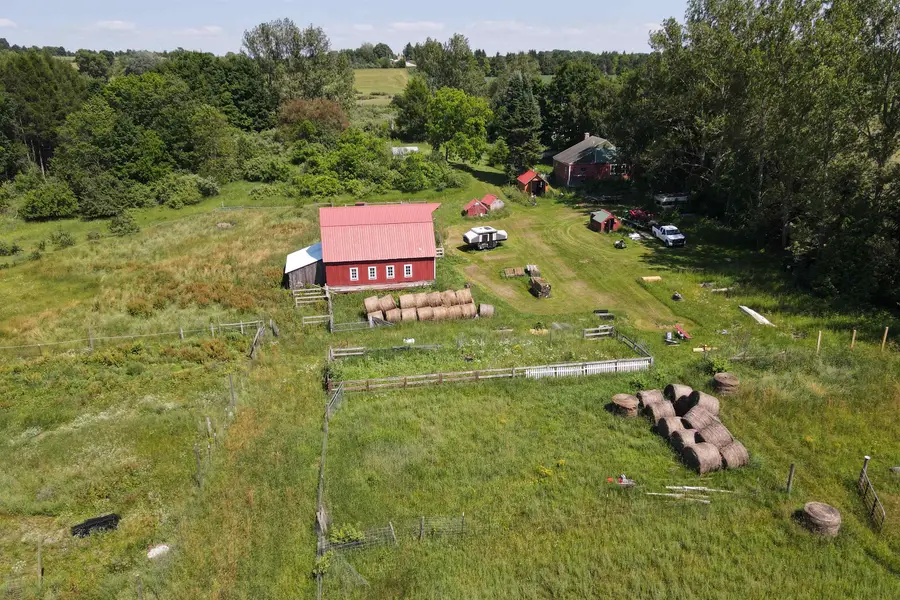 4626 S Center, Bingham, MI 49682 - #3