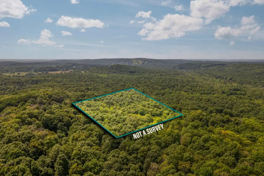 Brier Patch, Mancelona, MI 49659 - #3