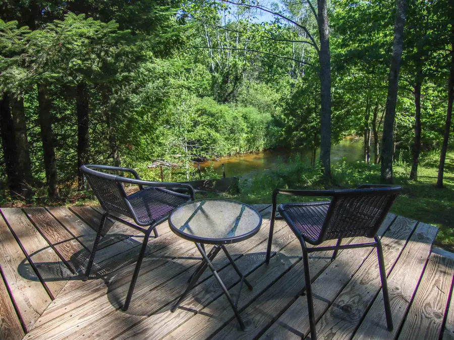 15651 Holly, Thompsonville, MI 49683 - #3