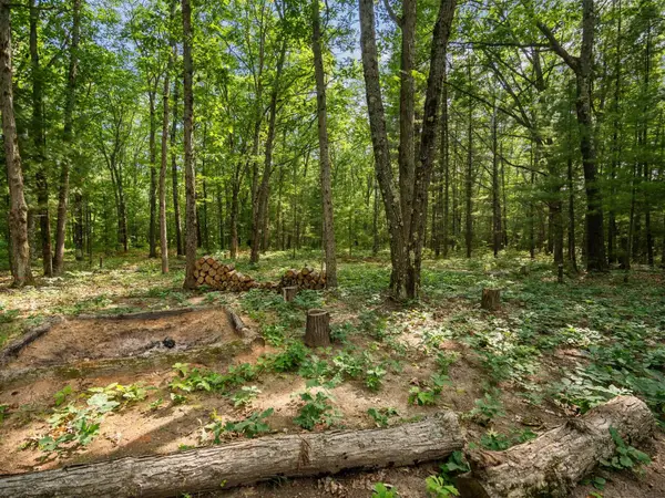 Lots 137 & 138 Tabor AVE, Interlochen, MI 49643