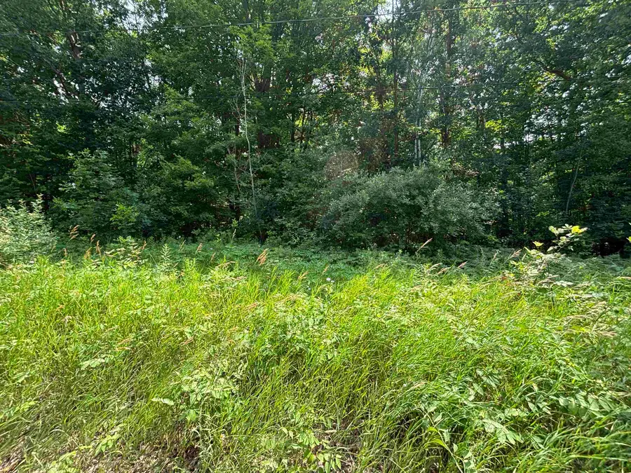 V/l White Birch, Hayes, MI 48625 - #2