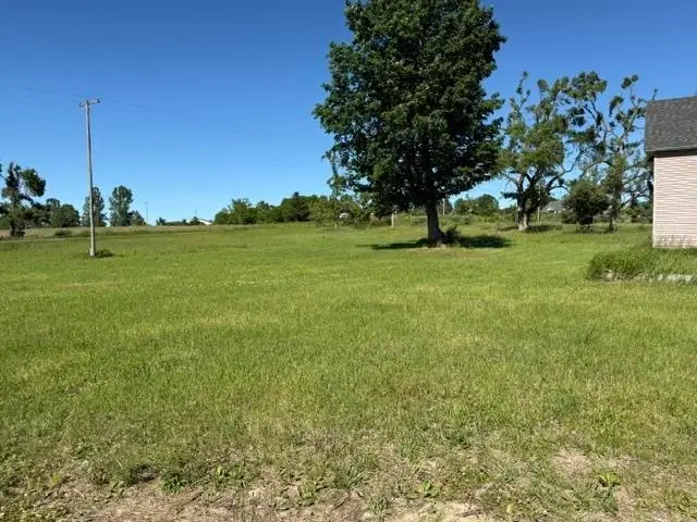 6948 E 48 RD, Cadillac, MI 49601 - #2