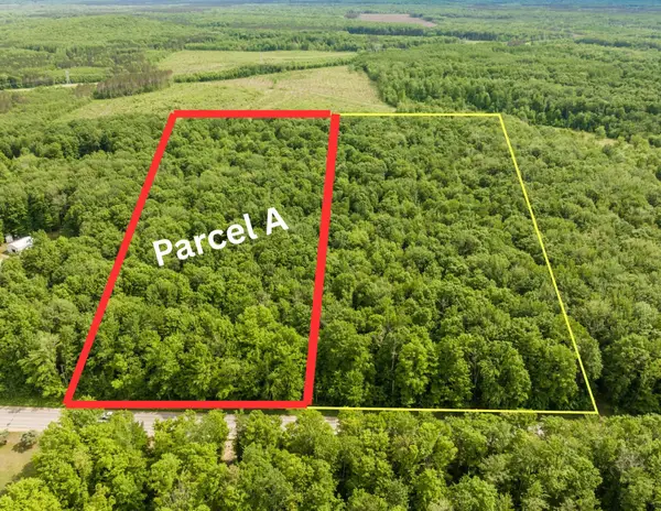 Parcel A Mancelona, Mancelona, MI 49659