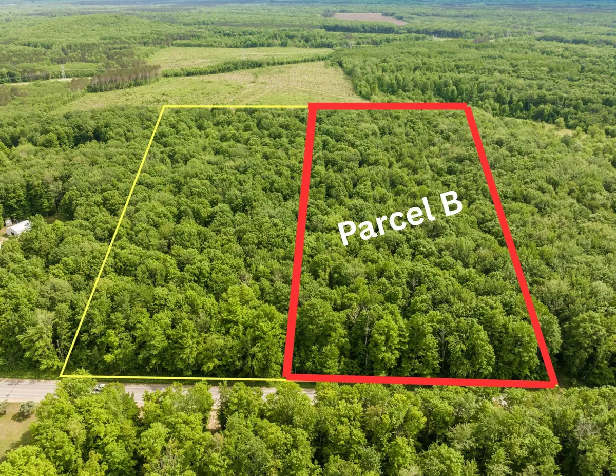 Parcel B Mancelona, Mancelona, MI 49659 - #1