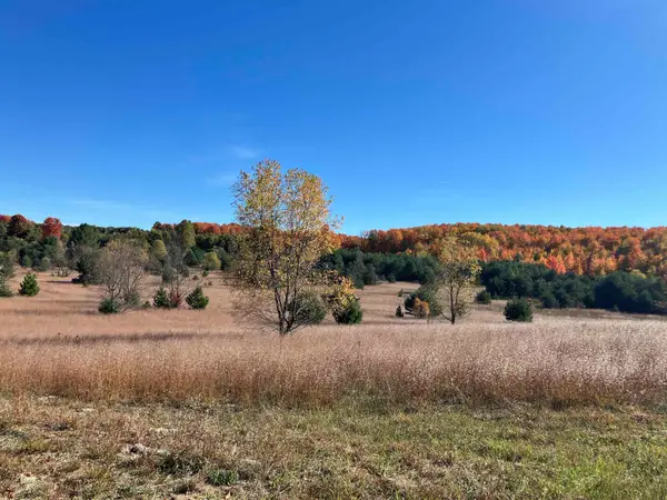 50 Acres SE Campbell RD, FifeLake, MI 49633
