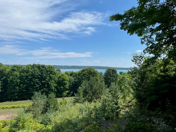 00 E Hidden Beech, Cedar, MI 49621