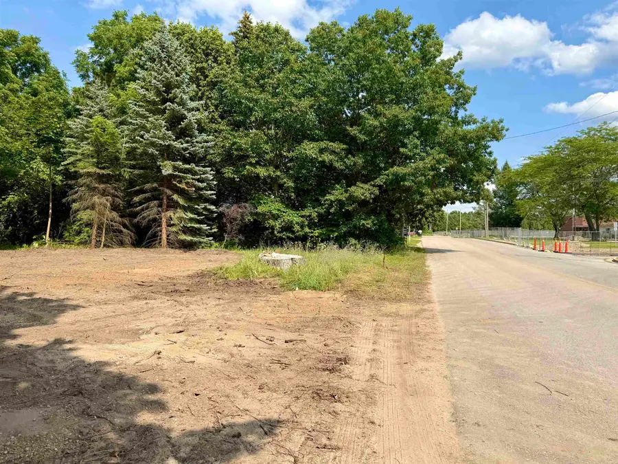 Lot 32 Buckley, Elk Rapids, MI 49629 - #3