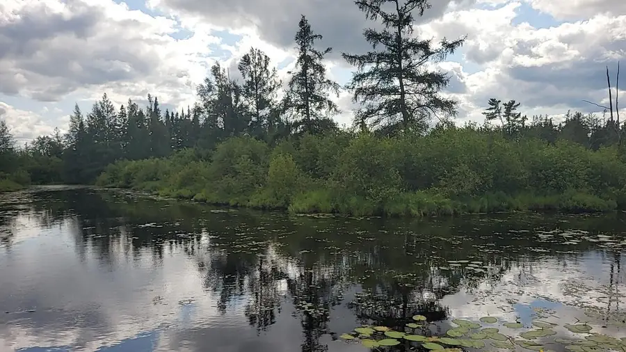 12.55 Acres Juniper, Grayling, MI 49738 - #2