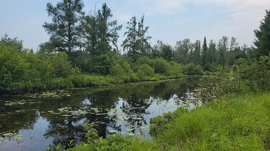 12.55 Acres Juniper, Grayling, MI 49738 - #3