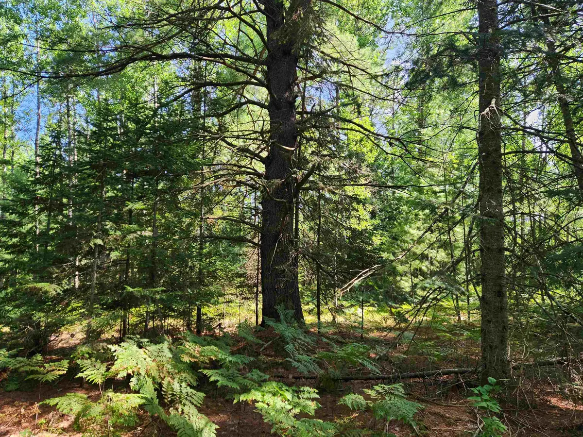10 Acres Christie, Kalkaska, MI 49646 - #1