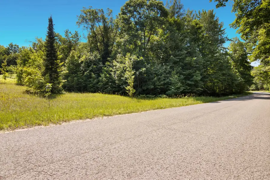 V/L Lake Of The Woods, Bellaire, MI 49615 - #3