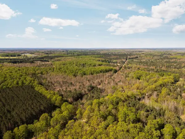 11886 Cedar Creek, FifeLake, MI 49633