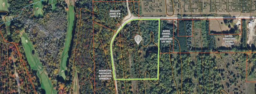 00 Antrim Dells RD, Ellsworth, MI 49729 - #2