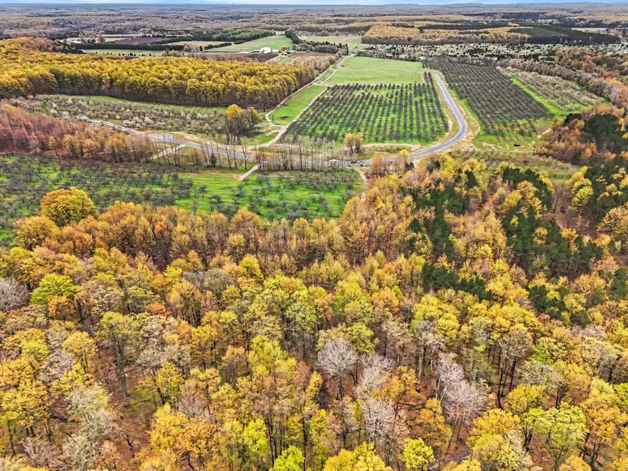 Parcel 9 Karnes, Glenarbor, MI 49630 - #2